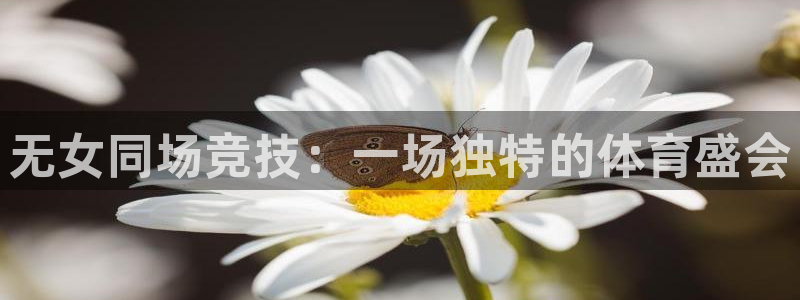 xc体育：无女同场竞技：一场独特的体育盛会