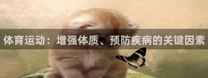 xc体育app官方网站：体育运动：增强体质、预防疾病的关键因素