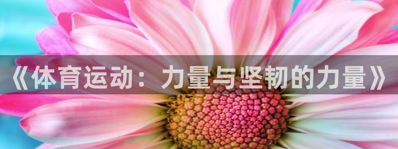 xc体育app官方网站：《体育运动：力量与坚韧的力量》