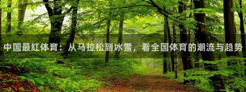 xc体育：中国最红体育：从马拉松到冰雪，看全国体育的潮流与趋势