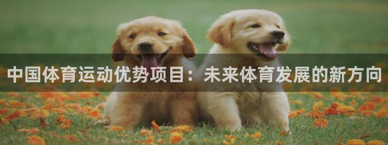 xc体育app官方网站：中国体育运动优势项目：未来体育发展的新方向