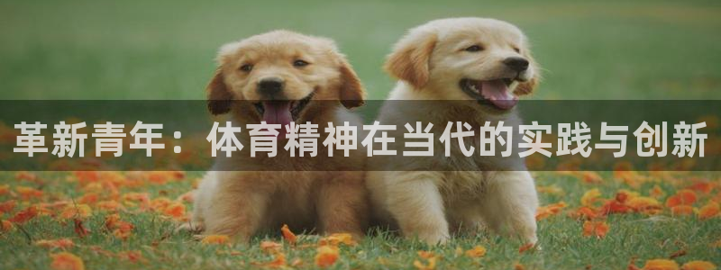 xc体育：革新青年：体育精神在当代的实践与创新