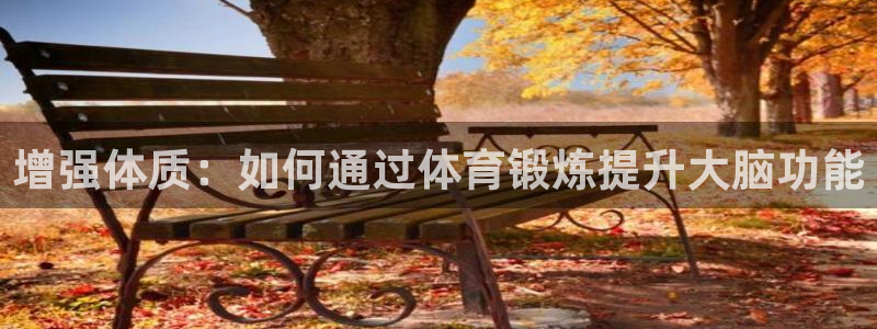 xc体育app官方网站：增强体质：如何通过体育锻炼提升大脑功能