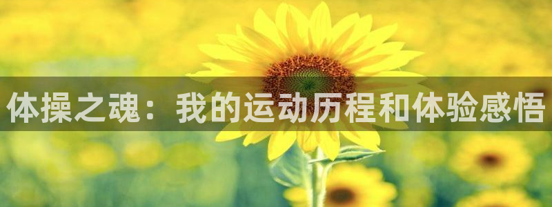 xc体育：体操之魂：我的运动历程和体验感悟