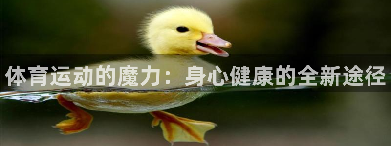 xc体育：体育运动的魔力：身心健康的全新途径